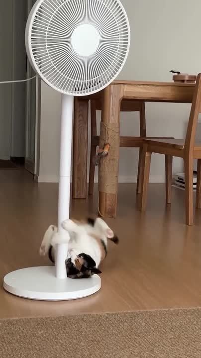 Девушка в пятницу вечером: зайду в бар, пропущу пару коктейлей