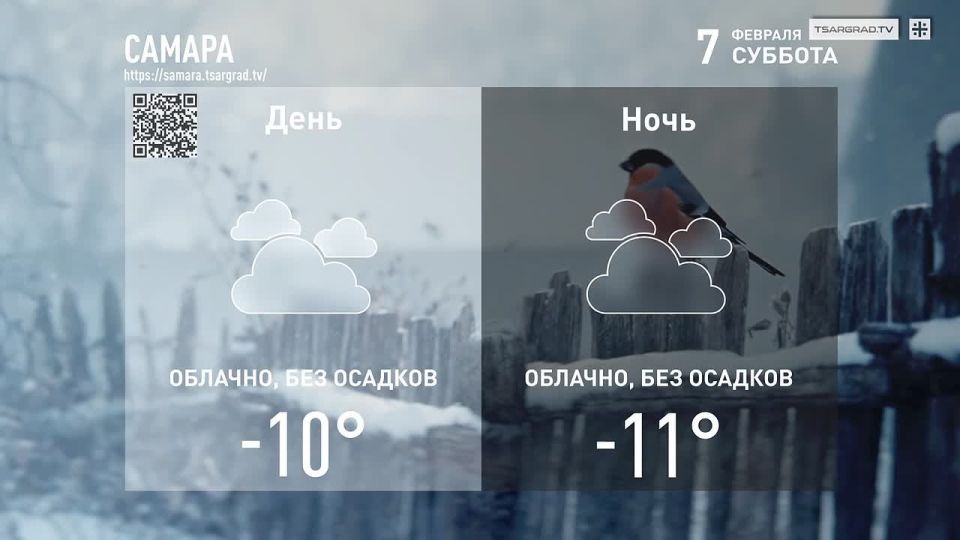 Последние дни февраля. Завьюжены, но искристы