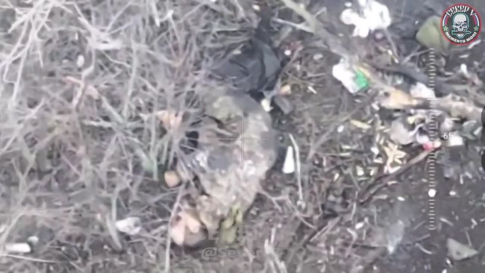 Мини-боевик от операторов Север-V: артиллерия, сбросы, FPV-дроны в охоте на пехоту ВСУ