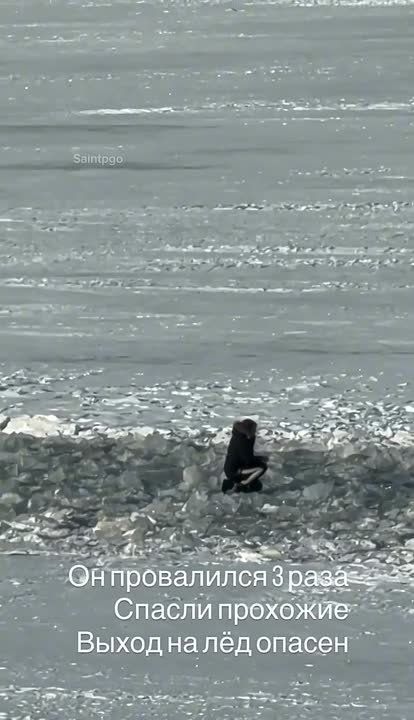 Прохожие спасли провалившегося под лёд около стрелки Васильевского острова — такие кадры сейчас расходятся в соцсетях