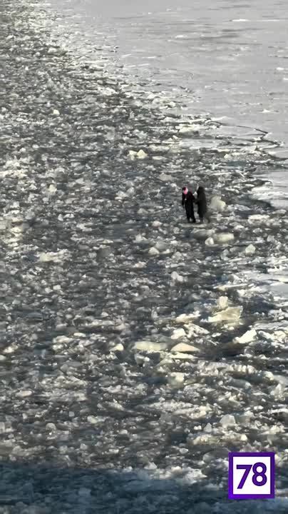 Премию Дарвина разыгрывают в Петербурге