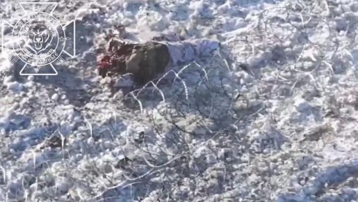 ������� ��� ���������� �����