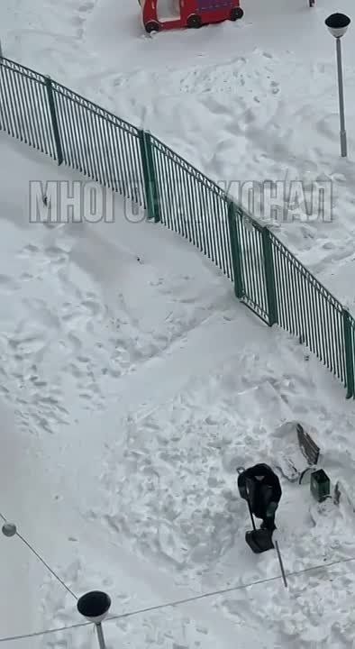 Трудолюбию нет предела. Жители подмосковных Химок засняли самоотверженный труд одного из "ценных специалистов"