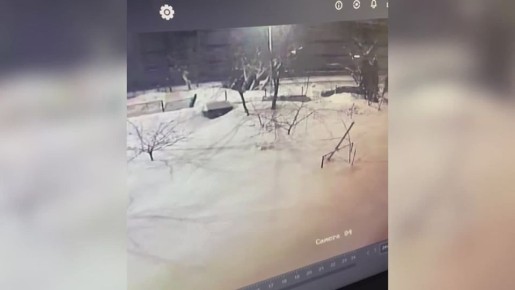 ������������ ����� � ����� ���������� � ����������� ���������� �����������, ������� ������� � �������� ���������