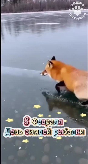 ���� ������ ������� � ����������� ����� ������������� ���� ������ ��������