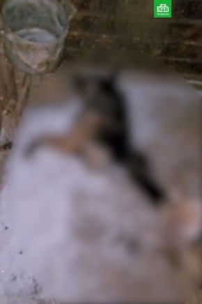 ������� �������� �������� ����� �������� ������ �������� � ������ ��������� ��������