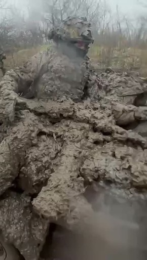 ���� ��� �� �������� ���� ������, ��������� �� ���� ������