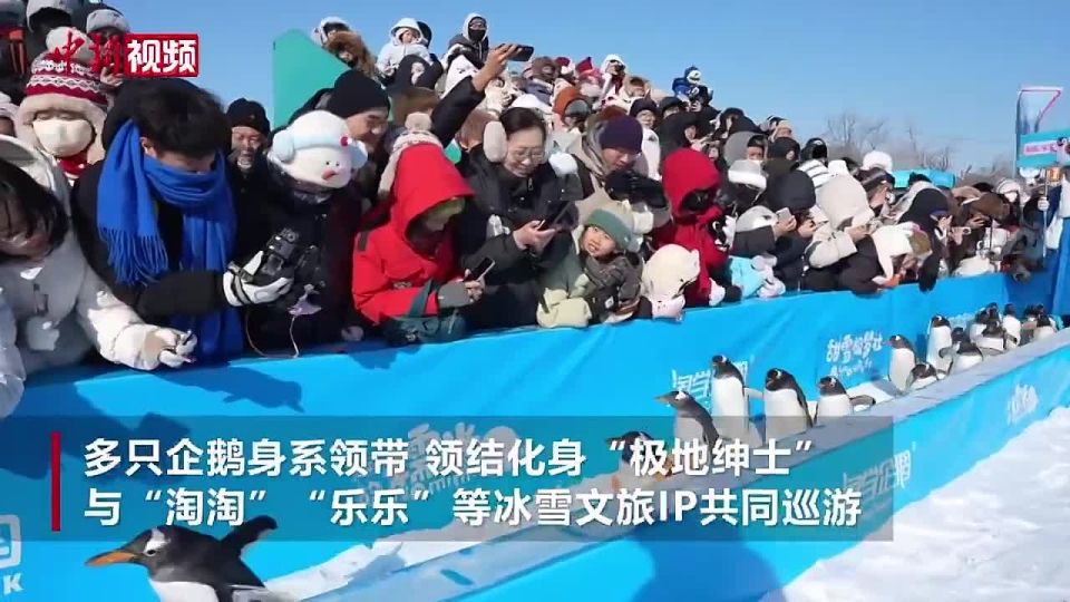 ����� ���������: ��� ���� �������?