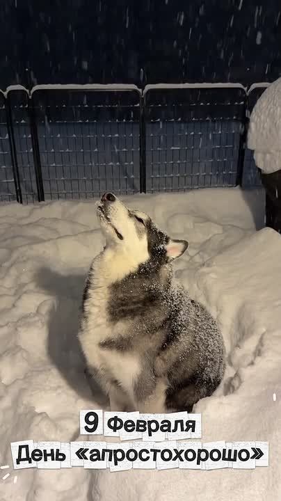 ���� ��������������. ��� � ��������� ������ �� ����