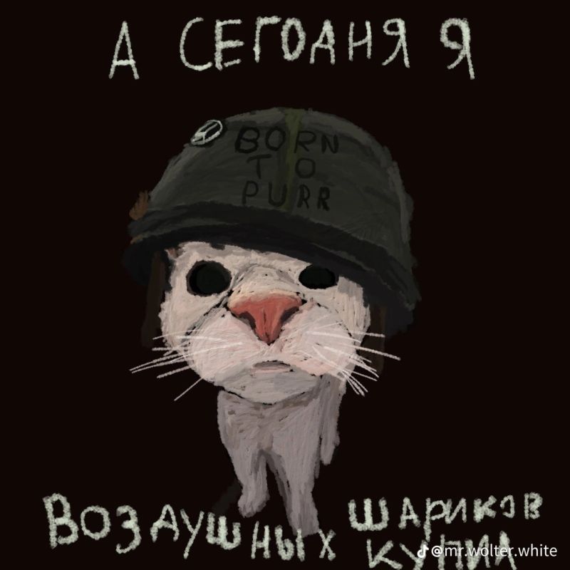 Дмитрий Стешин: Оказалось, "Герани" прекрасно летают и находят свои цели без "Старлинка"
