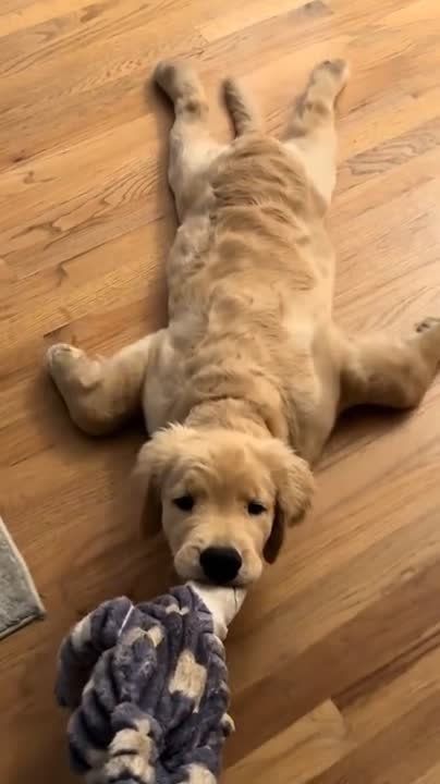 � ����������� �� ������ - �� ��������-������� :)