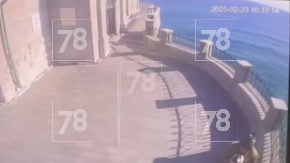 � ����� ������� ��������� ���� ������ �����������, ����������� ����� ���� � ������