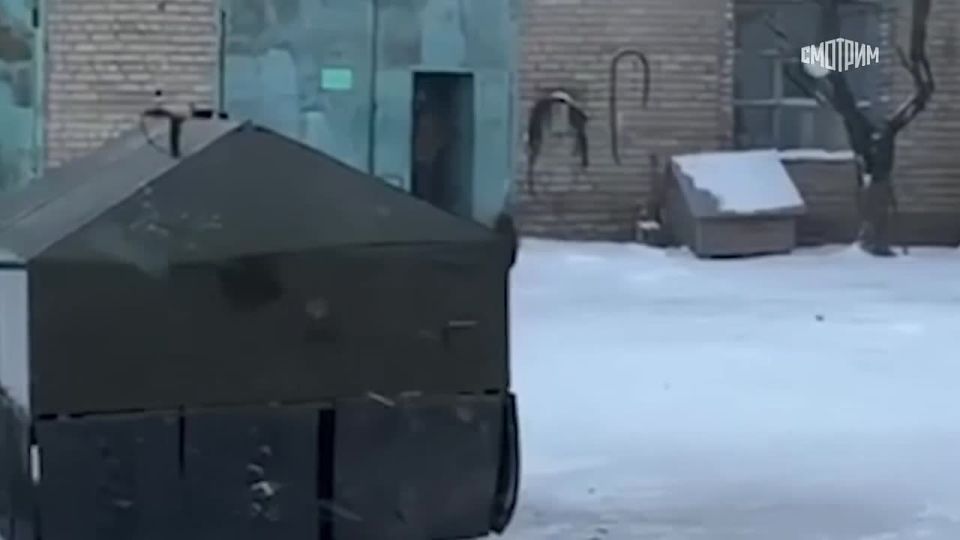 ������� ������: ������������ ���� ��� ���������� �������? ��� ���� � ���������������� ������� - ����� ������