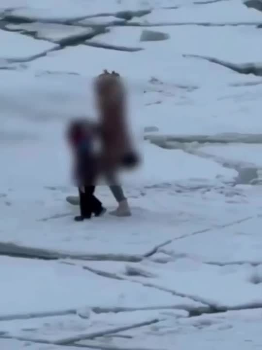 ������� "����������" �� ����: ���� � ��������� ����� ����� ������ �� ���� �������� ���� ����� ������� ��������