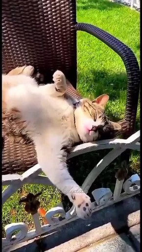 �����������. �����. �� ���