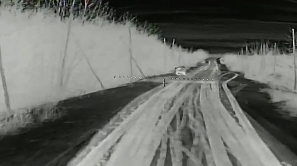 ������� ������: � ���� ���� ����� � ������ ����������� ������ � ���������� ���������! ��� ����� ��� �����, ������������ �������� �������� ������������� ������� �� � 2025 ����