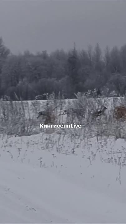 ������ ������ �������� � ������������� ������