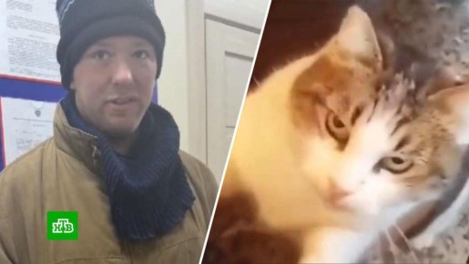 ��� ����� ���������� ������������� ���������� ���� � ��������� 24-������� �����������, ������� ��� ����� ������� � ������ � ����������� ������ ����� ����, �������� ����