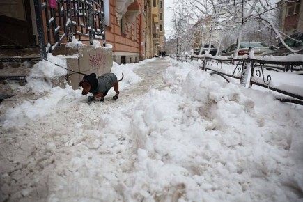 ��������� � � ������ ������������ ������