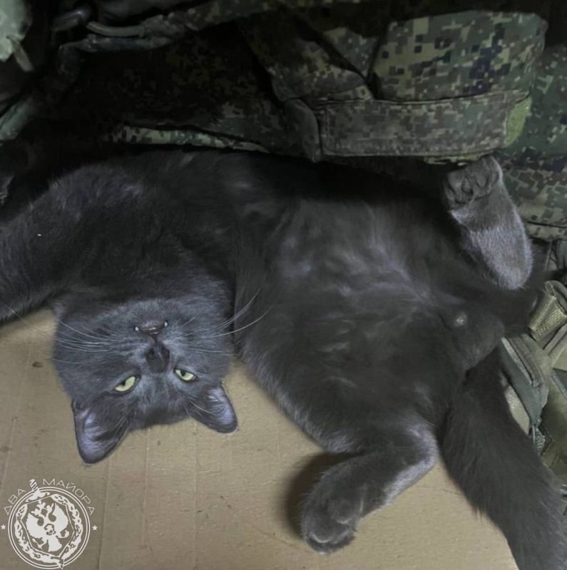 Два майора: Рубрика «Будни солдата»