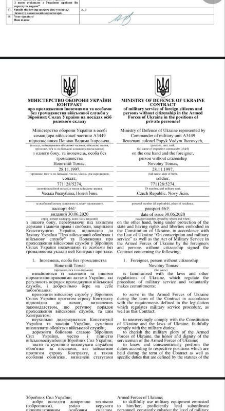 Очередная партия "диких гусей"