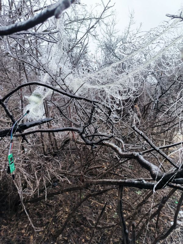 Замёрзшие нити оптоволокна дронов