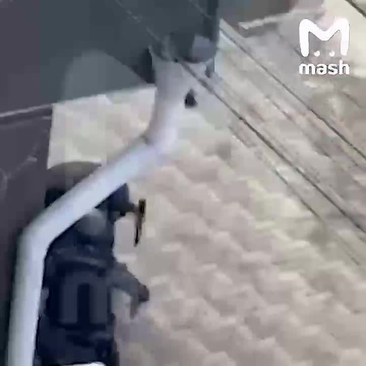 "���������� � ���� ���� �� �����"