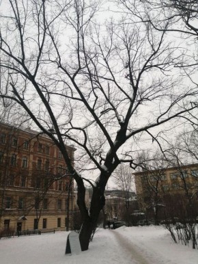 ������� ��� ������ � ��������������� ���� �� �����������