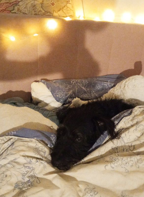 Все мечтают быть как Стёпа