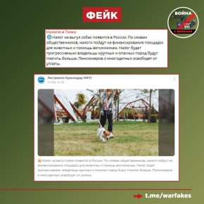 ����: � ������ ������ ����� �� ����� �����