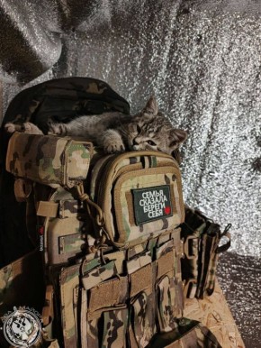 ��� ������: ������� ������ �������