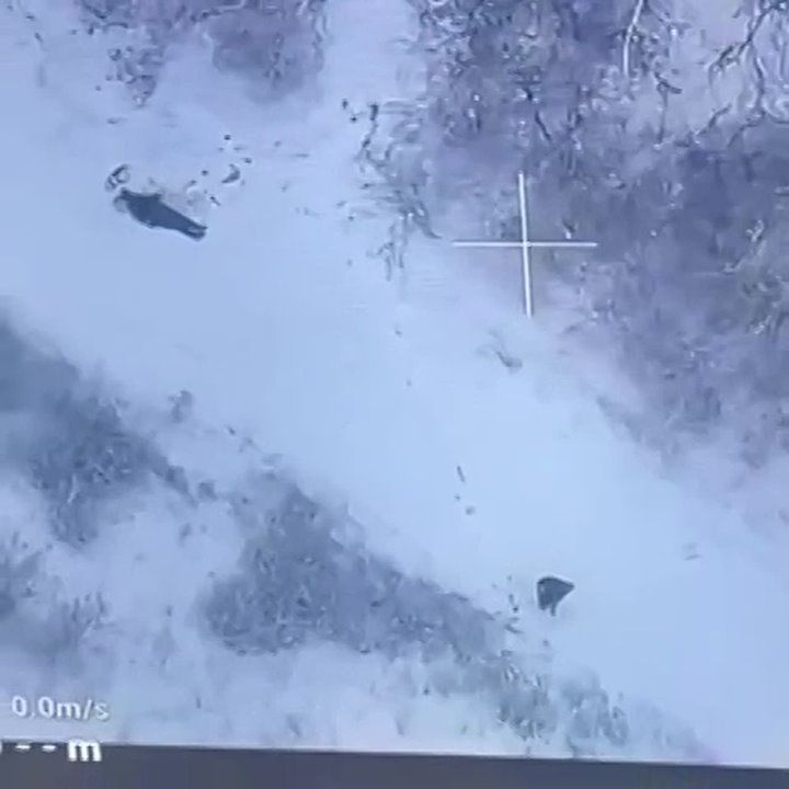 ���������� ���� � ��� ��������� ����������� ���� ���������