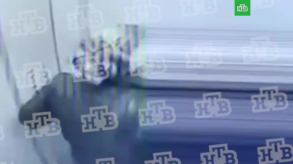 ���� � ���������� ������ ���������� � ���������� ������� ���������� ����� � ���� 48, ������ 1 �� ��������� �����������