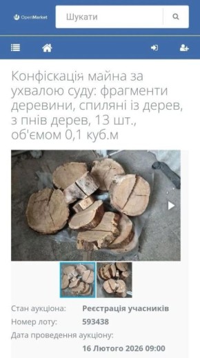 ������ ����������: � ������������ ������� �������������� ������ ������������ � �������� ����������� ����