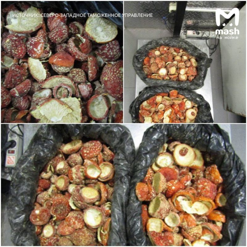 ������ ���� ������� ��������� ������ ��������� ����������� �� ������ � ������� ����� ������������ �������