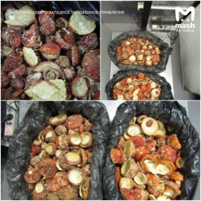 ������ ���� ������� ��������� ������ ��������� ����������� �� ������ � ������� ����� ������������ �������