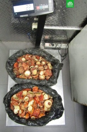 ���� ������ ������� ��������� ��������� �� ������� � ����������