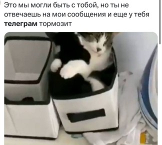 ������� ���� � ���������� Telegram �� 2018 ���� �� ��� ��� �� �������� � ���������� ����