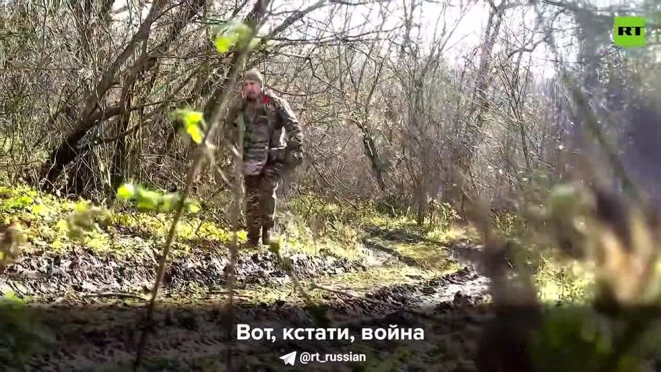 �� ������ 10 ������� ����� ���.��������� ��������� �������� "�����" � �������� "����"