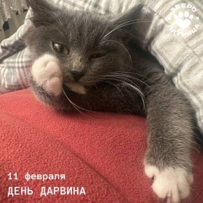 ������� ������������� ���� ����� � ���������, � �� ��������� ������������ �����