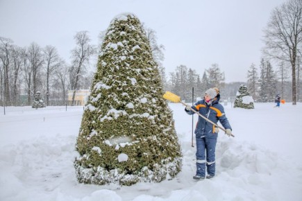 ����� ������!. � �������������� ����� ������ ���