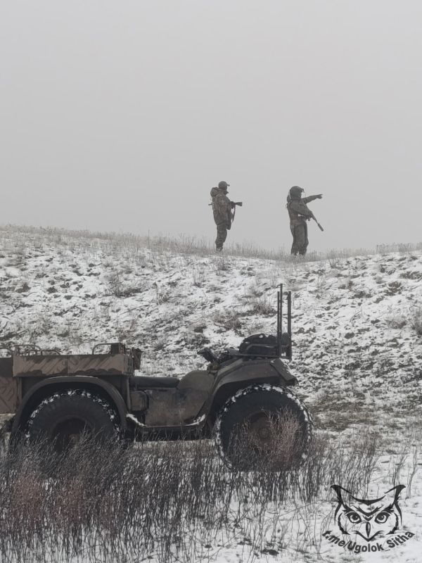 Z - � ���� ���������� ����������� ������� ��������