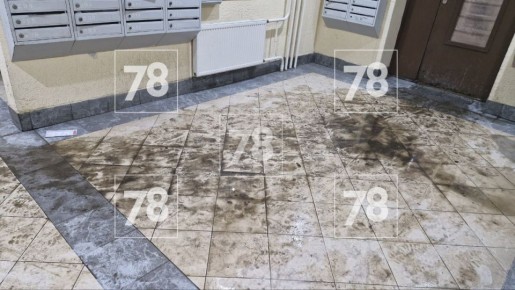 ���� �� ������ �� ������� �������� � �� �� ������� �� ��������� ���