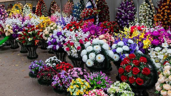 Бизнес-леди сорвала благоустройство Аллеи Героев СВО в Воронежской области