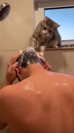 ������ ��� ������, �������, � �� ����� �� ���� �������� �� �����