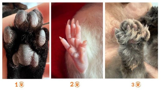 � ����������� ���� ������������� � �������, 13-� � �� ����������� ��� �������: ����� �������, ��� ��� �����