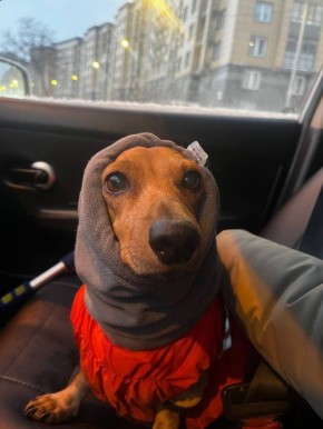 ����� �������� �������, ���� � ��������������� ������������ ������������� �������� ����� ������� � ������, ����� ������� �������� � ����� �����