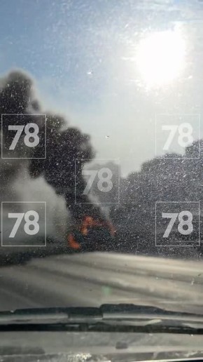 ���������� �������� �� 50-� ��������� ����������� ������ ���, ������������ �������� � ������� �������