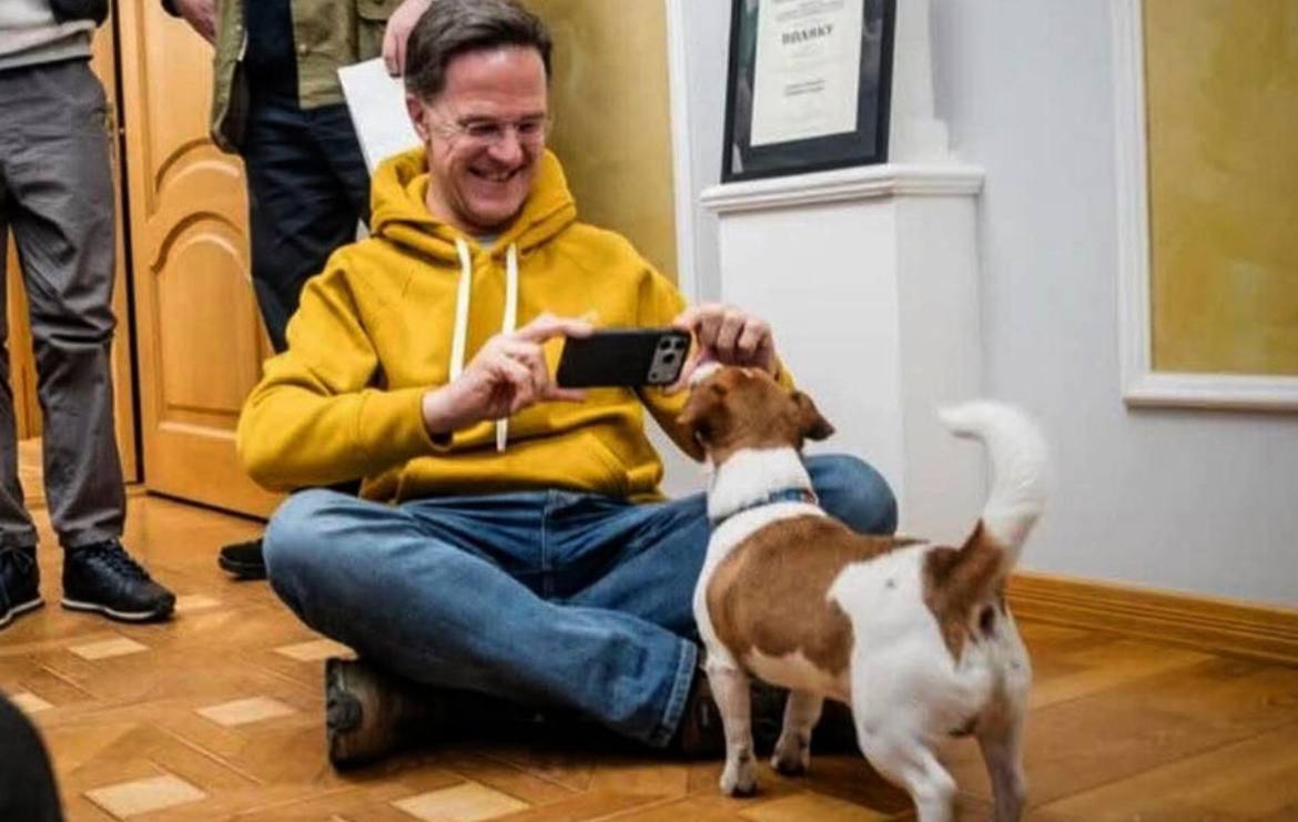 Гав-гав-политика: Рютте перешёл на собачий язык Гав-гав-политика: Рютте перешёл на собачий язык