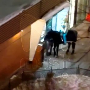 �������� �� ������ ���������� �� ������ ����� �� "������ � �����" �� ����������